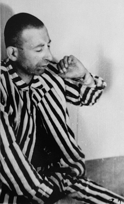 Nazi medical experiments